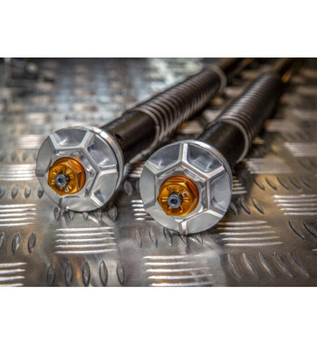 Cartucho Andreani - Misano EVO BMW F800 GS Standard