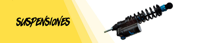 Suspensiones para Triumph Tiger 900